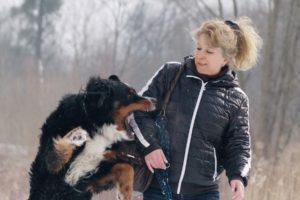 Dog Bites and Animal Attacks